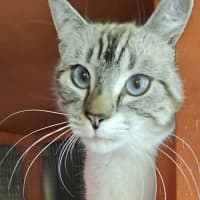 Photo of Cecile