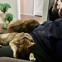 Photo of Harry And Henry