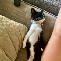 Photo of Maggie ‘Magpie’