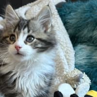 Photo of Jake 🦁💙🦁