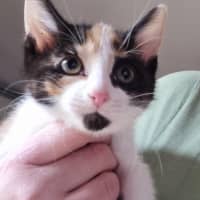 Photo of Sienna