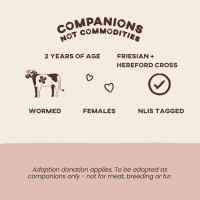 Photo of Bessie & Beatrice