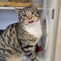 Photo of Emmett