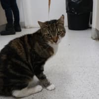 Photo of Maximus