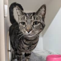 Photo of Bruce