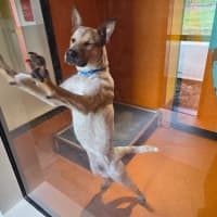 Photo of Caleb Imp 1865