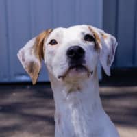 Photo of Kindred