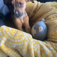 Photo of Freddy