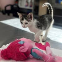 Photo of Mazda (8923)