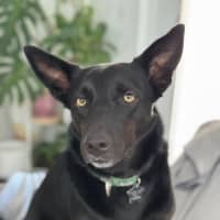 Photo of Ella