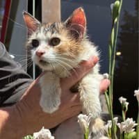 Photo of 🐾Aryna 🎾