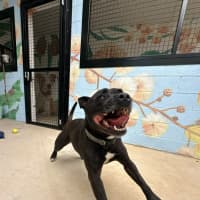 Photo of 🏈 Max 6706 🏈