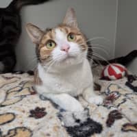Photo of Maureen