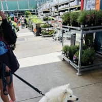 Photo of Aspen