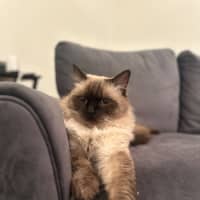 Photo of Cartman