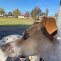 Photo of Jeena (Precious)