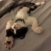 Photo of Nini 
