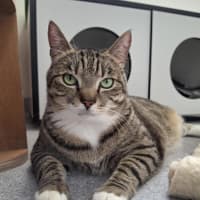Photo of Ziggy