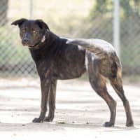 Photo of Truffle