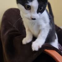 Photo of Gabriella