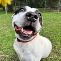 Photo of Biggie Smallz