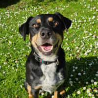 Photo of Kenai