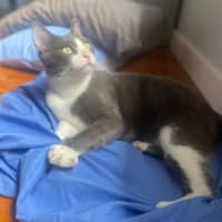 Photo of Storm (9173)