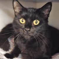 Photo of Precious