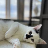 Photo of 🗼 Gilly 5927 🗼