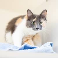 Photo of Tammy