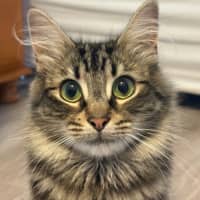 Photo of Butters
