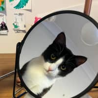 Photo of Maggie 