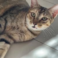 Photo of Matilda