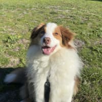 Photo of Momo