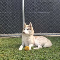 Photo of Zena