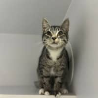 Photo of Penelope