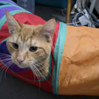 Photo of Alistair