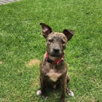 Photo of Benny Lozano