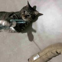 Photo of Timmy Sta012534