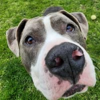 Photo of 🧱 Mason 6377 🧱