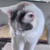 Photo of Karen 