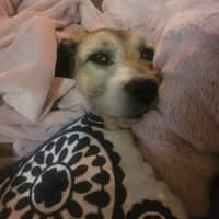 Photo of Sassi