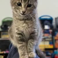 Photo of Sooty