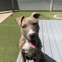 Photo of Kid (Now Tokyo)