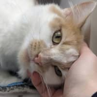 Photo of Sandy