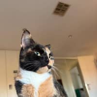 Photo of Luna
