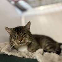 Photo of Lucius Klaassen