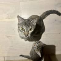 Photo of Mia 