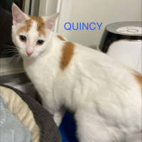 Photo of Quincey