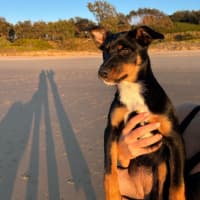 Photo of Saya